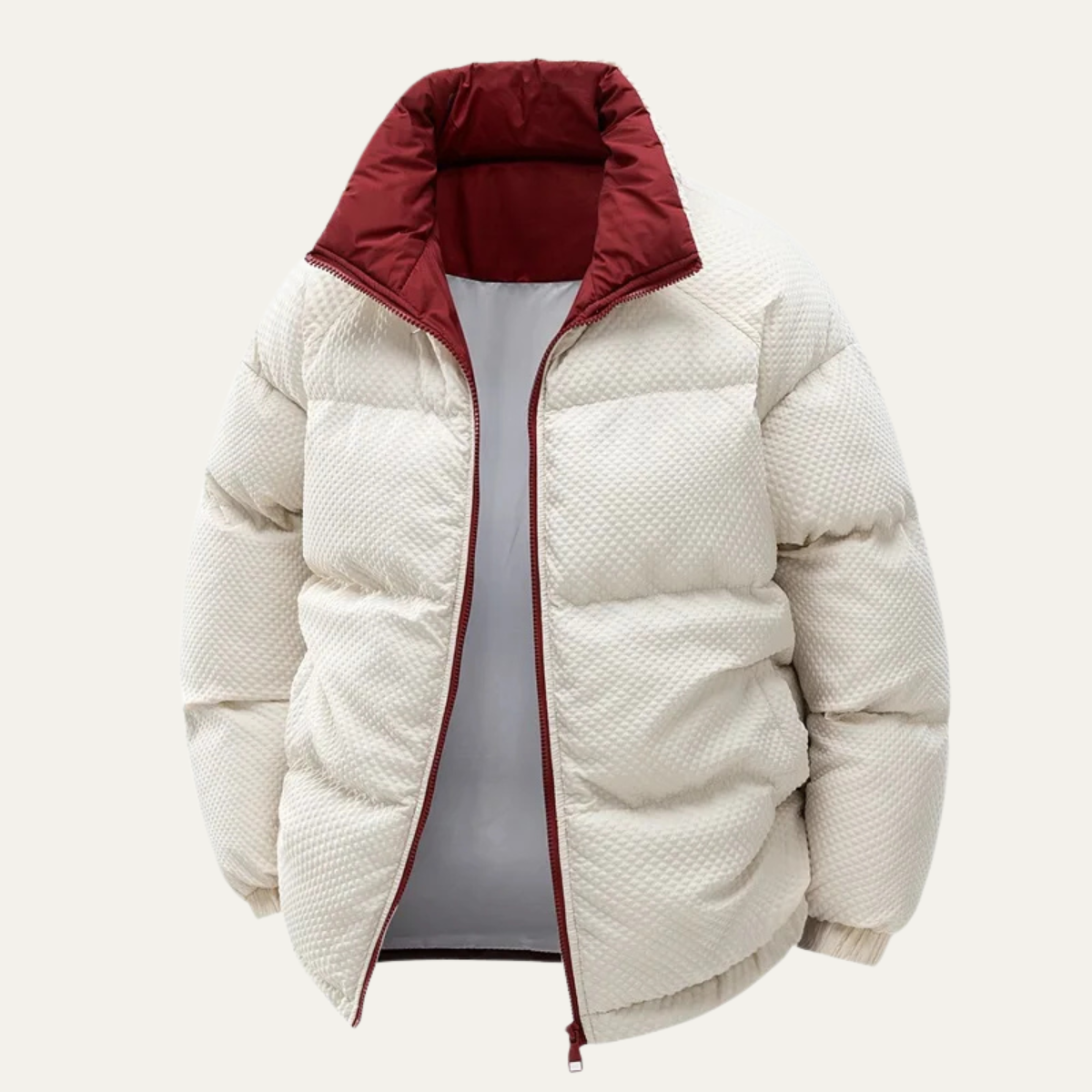 Alderfall Men's Winter Puffer Jacket Contrast Color