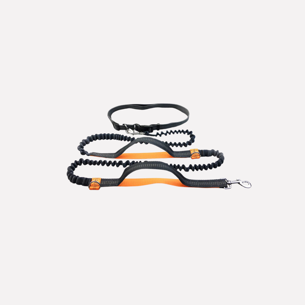 Hands Dog Running Leash