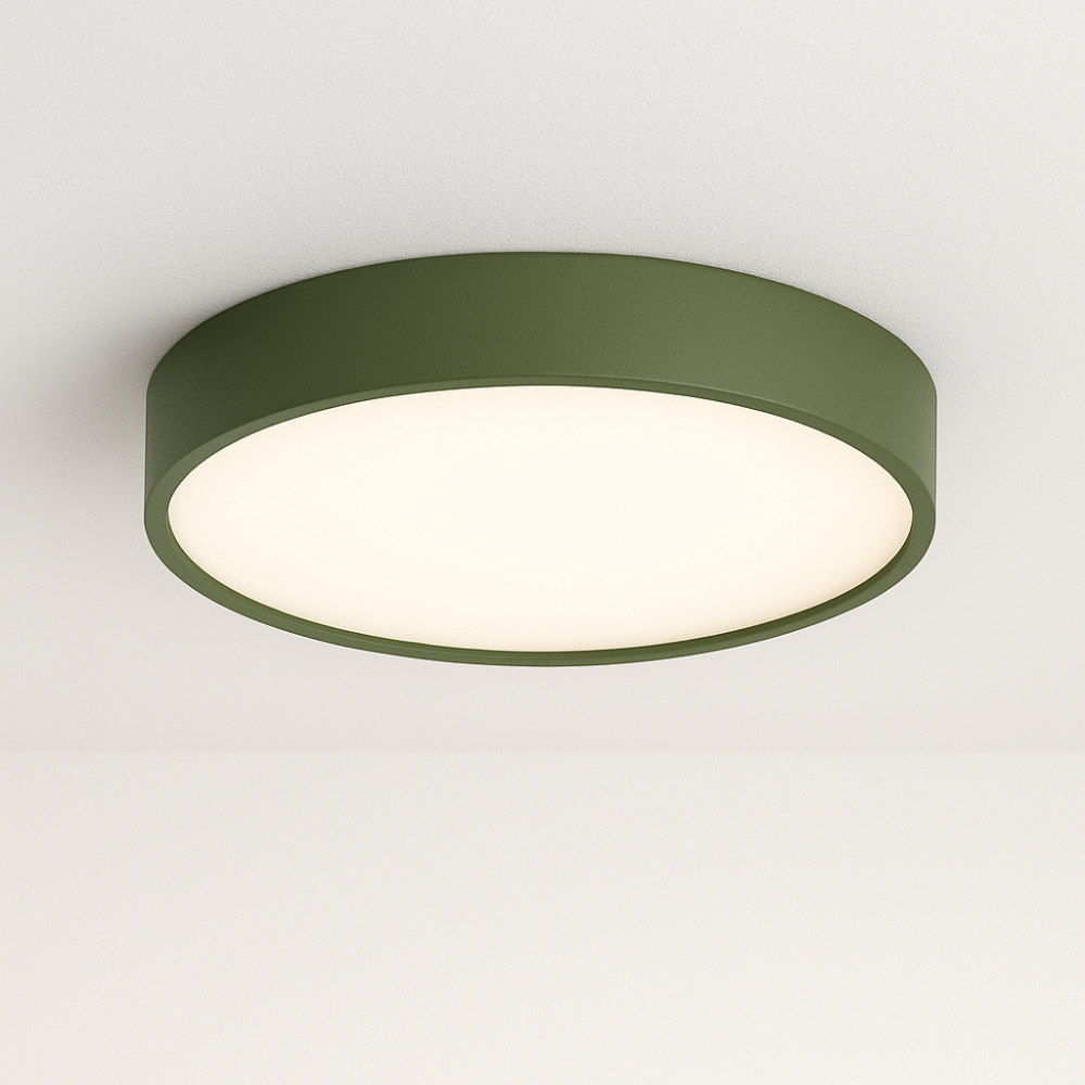 Ceiling Light Fixture
