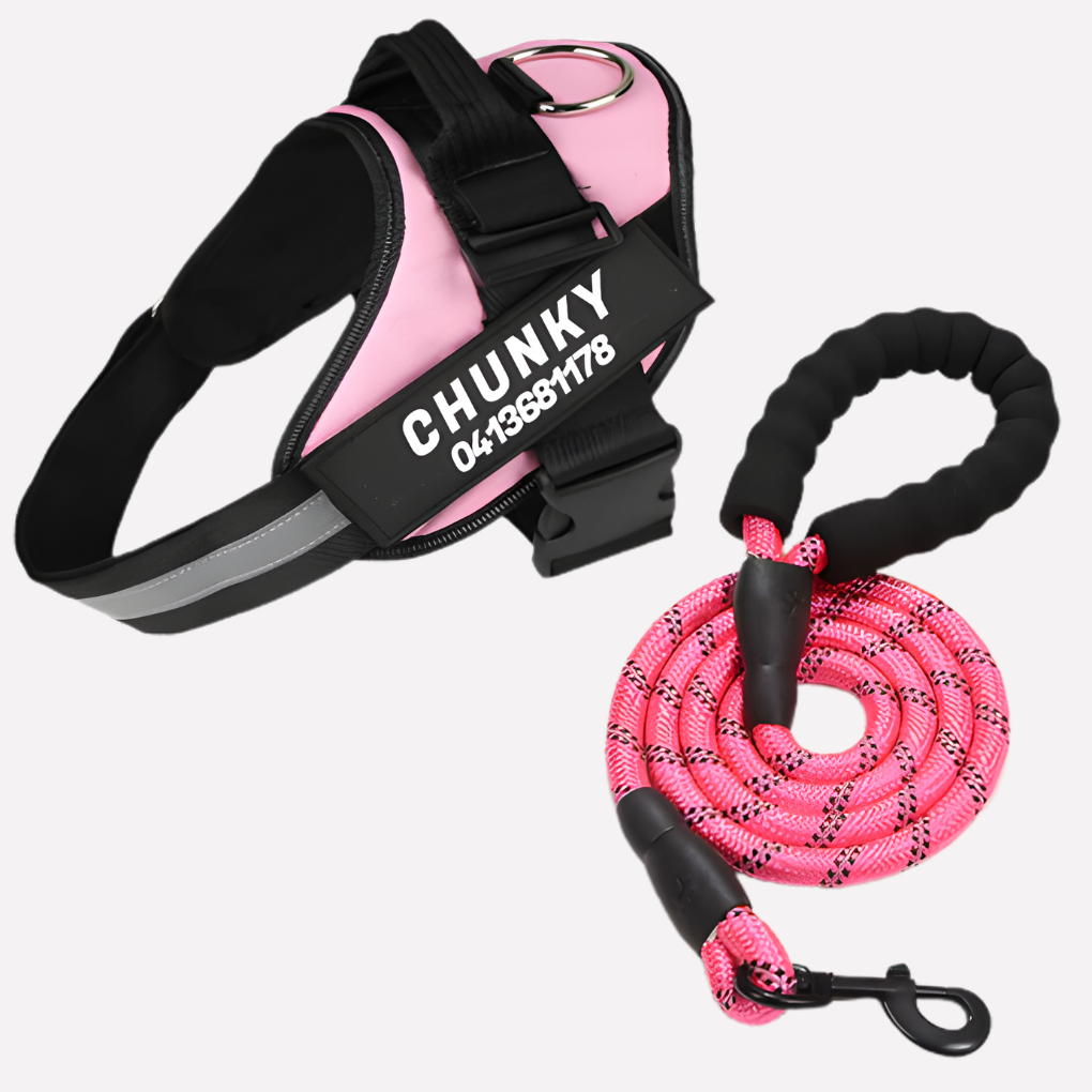 Customizable No Pull Dog Harness