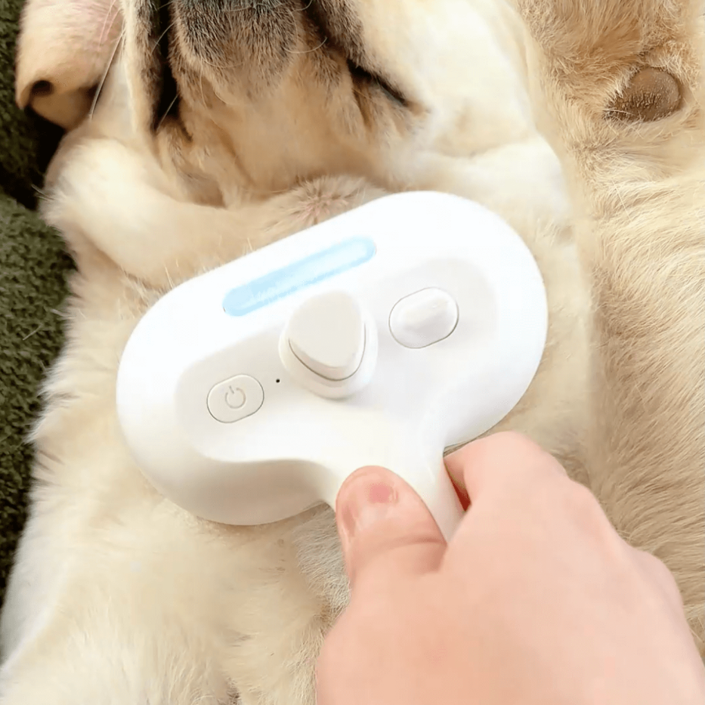 Dog Steam Brush Grooming Tool