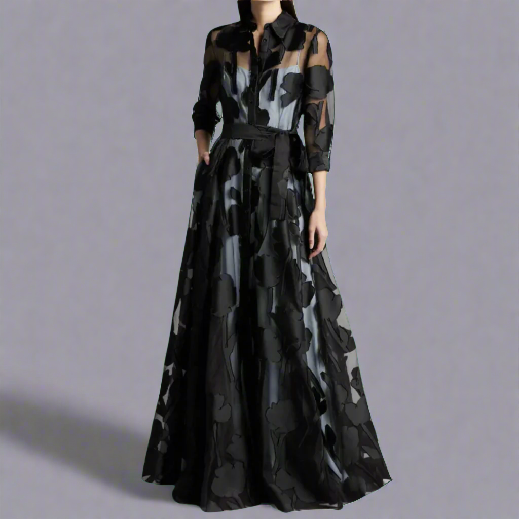Women's Sheer Maxi Dress - Fashinoza