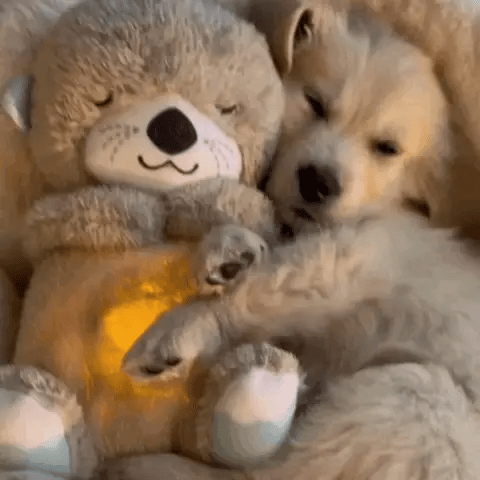 Cuddle Plush Toy Soft Calming
