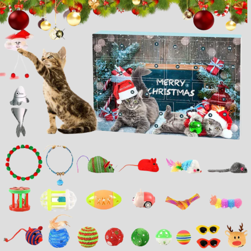 Cat Interactive Toy Advent Calendar 24 Day Countdown Kit - Fashinoza