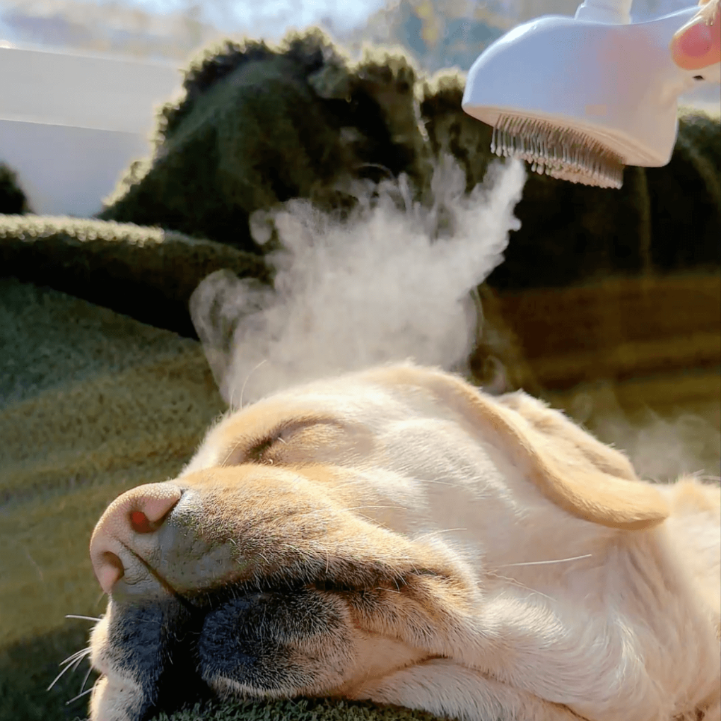 Dog Steam Brush Grooming Tool