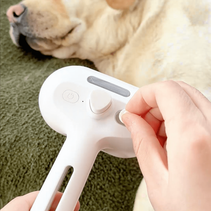 Steam Dog Brush Grooming Tool - Fashinoza
