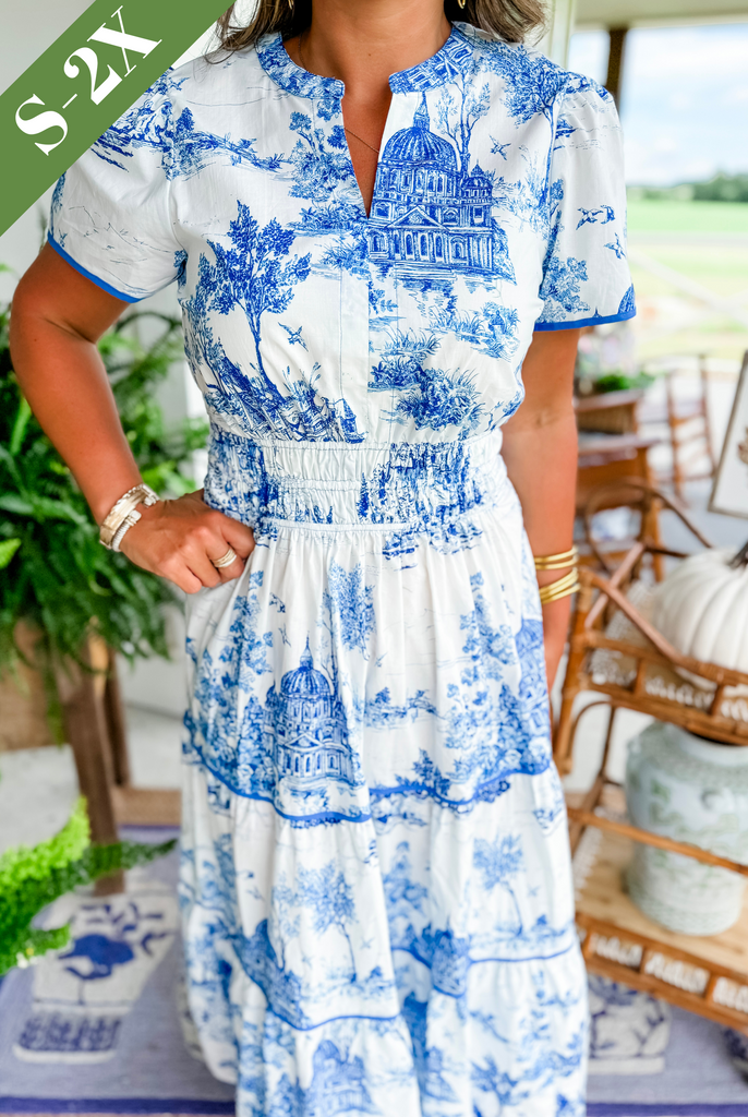 Women's Classic Toile Maxi Dress
