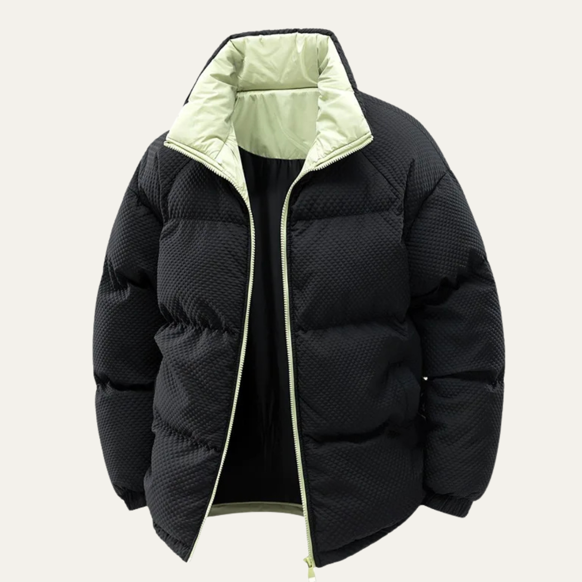 Alderfall Men's Winter Puffer Jacket Contrast Color - Fashinoza