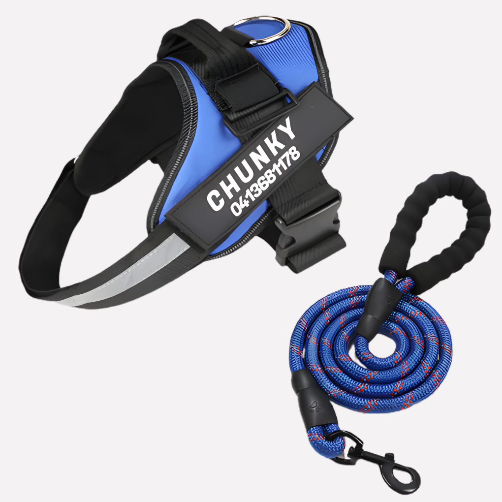 Customizable Anti-Pull Dog Harness - Fashinoza