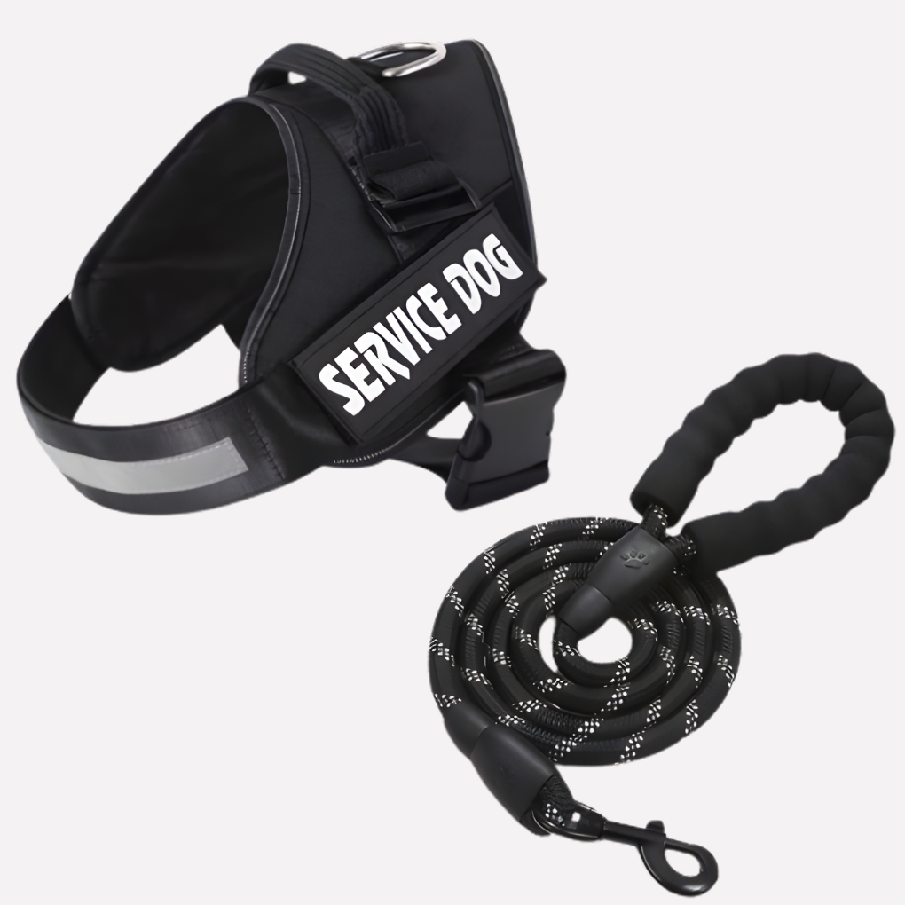 Customizable No Pull Dog Harness
