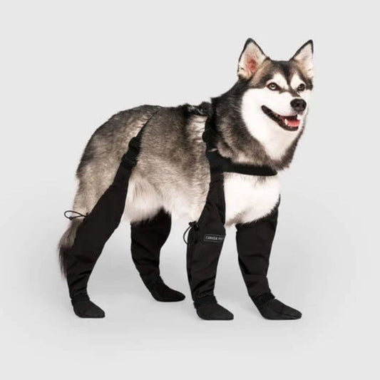 Durable Dog Boots Waterproof Rubber - Fashinoza