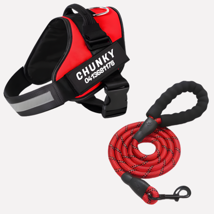 Customizable No Pull Dog Harness