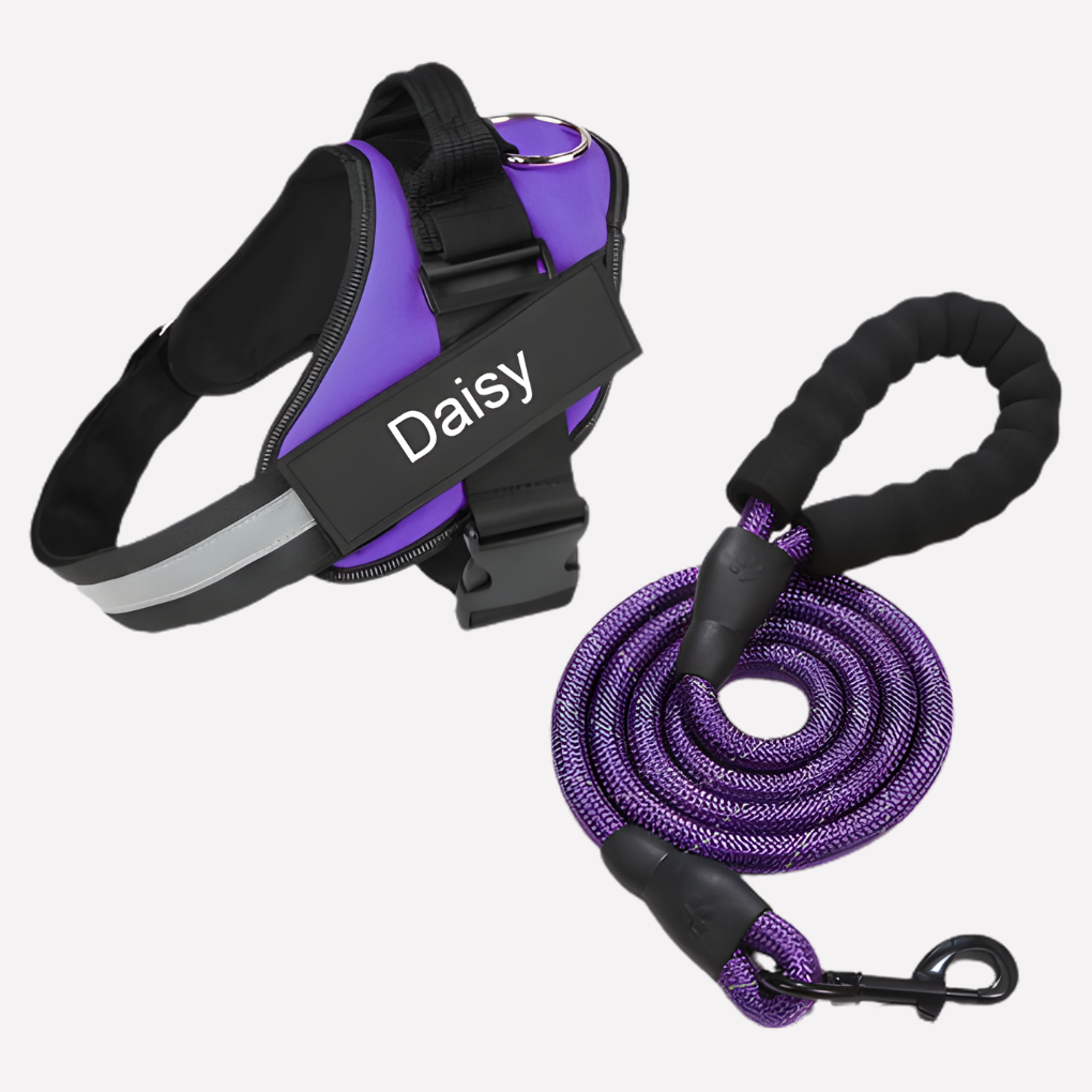 Customizable No Pull Dog Harness