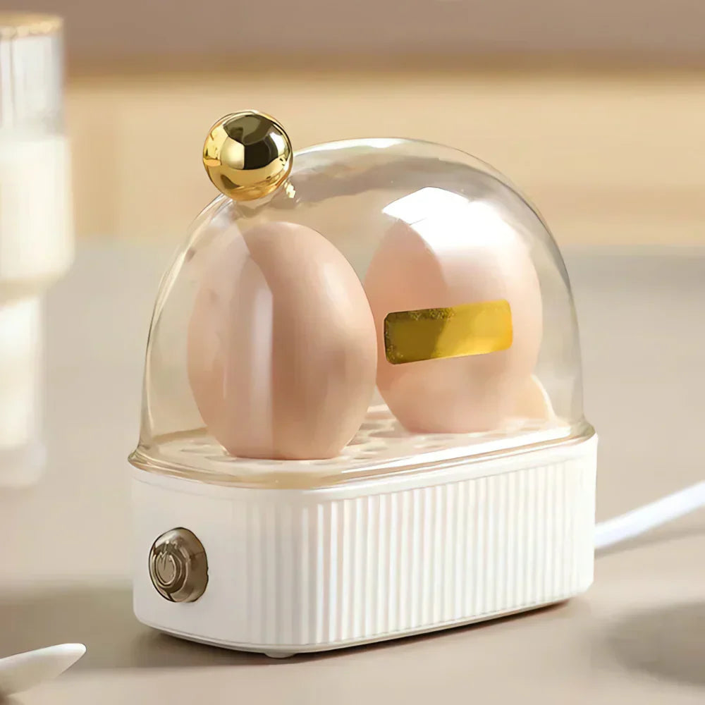 Electric Egg Cooker Stainless Steel Compact