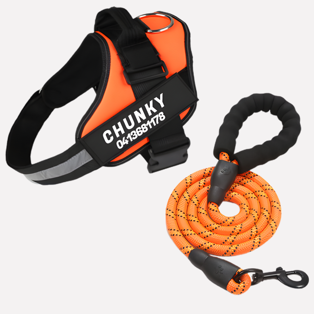 Customizable No Pull Dog Harness