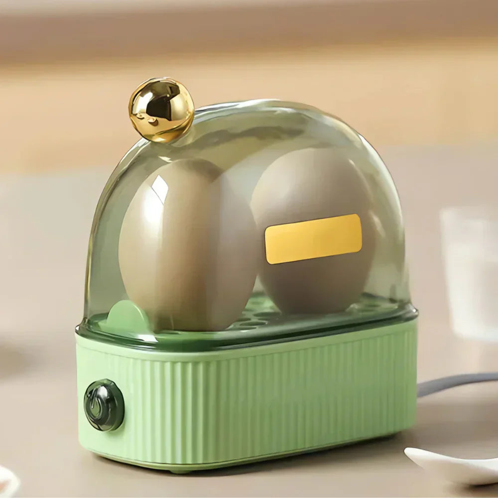 Electric Egg Cooker Stainless Steel Compact