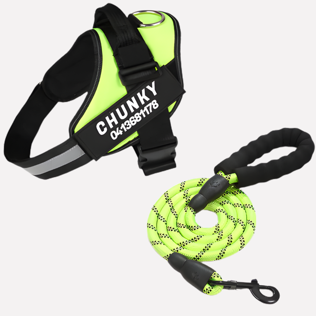 Customizable No Pull Dog Harness