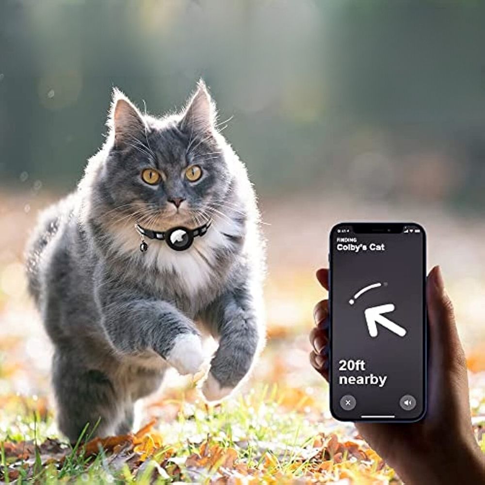 Cat Gps Tracking Collar Quick-Release Reflective Design