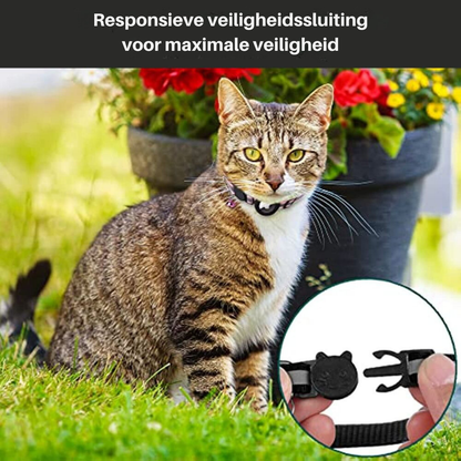 Cat Gps Tracking Collar Quick-Release Reflective Design