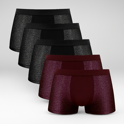 Men's Mesh Boxer Shorts 5 Pack - Fashinoza