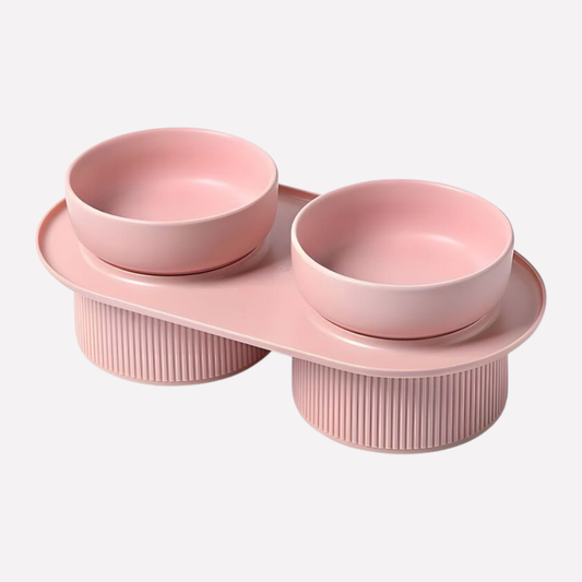 Ceramic Elevated Pet Feeding Bowl - Fashinoza