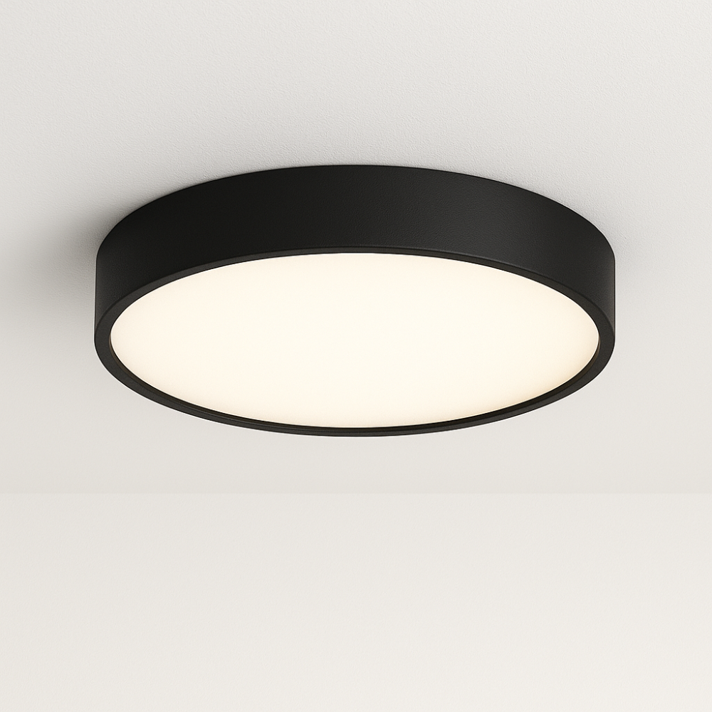 Ceiling Light Fixture