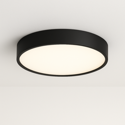 Ceiling Light Fixture