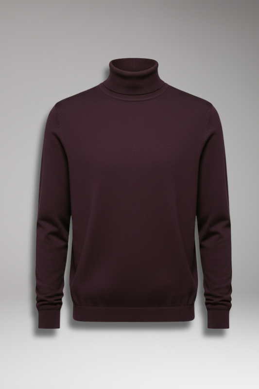 Men's Turtleneck Sweater Ribbed Cuffs Straight Hem - 
Fashinoza