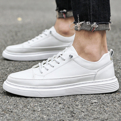 Men's Martelli Genuine Leather Shoes
