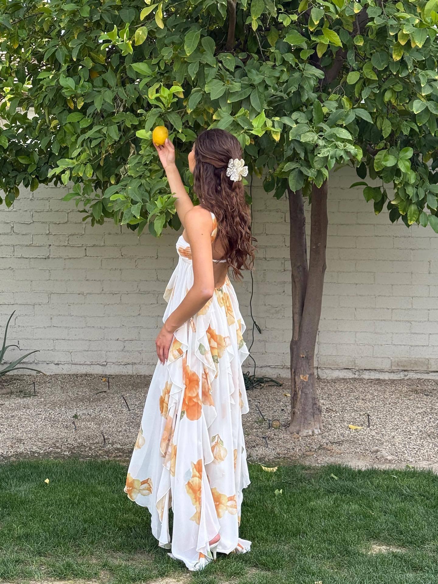 Women's Sleeveless Halter Maxi Dress
