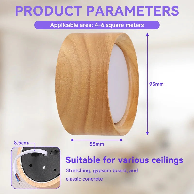 Modern Flush Mount Downlight