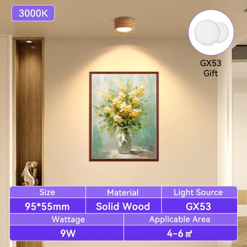 Modern Flush Mount Downlight