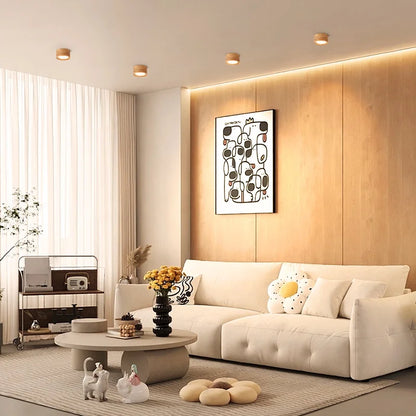 Modern Flush Mount Downlight