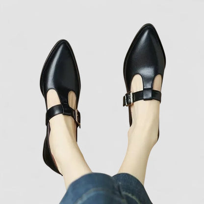 Women's Low Heel Pointed Toe Mary Jane Shoes