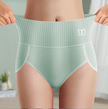 Women's Shaping Briefs Seamless High Waist
