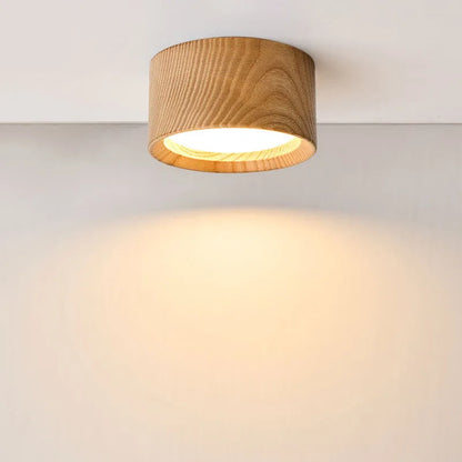 Modern Flush Mount Downlight - 
Fashinoza