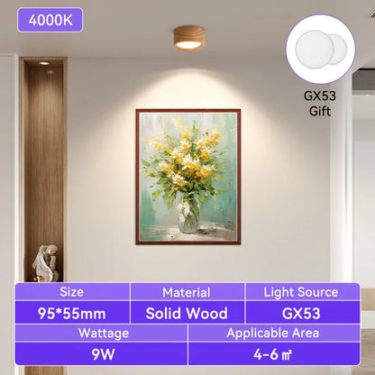 Modern Flush Mount Downlight