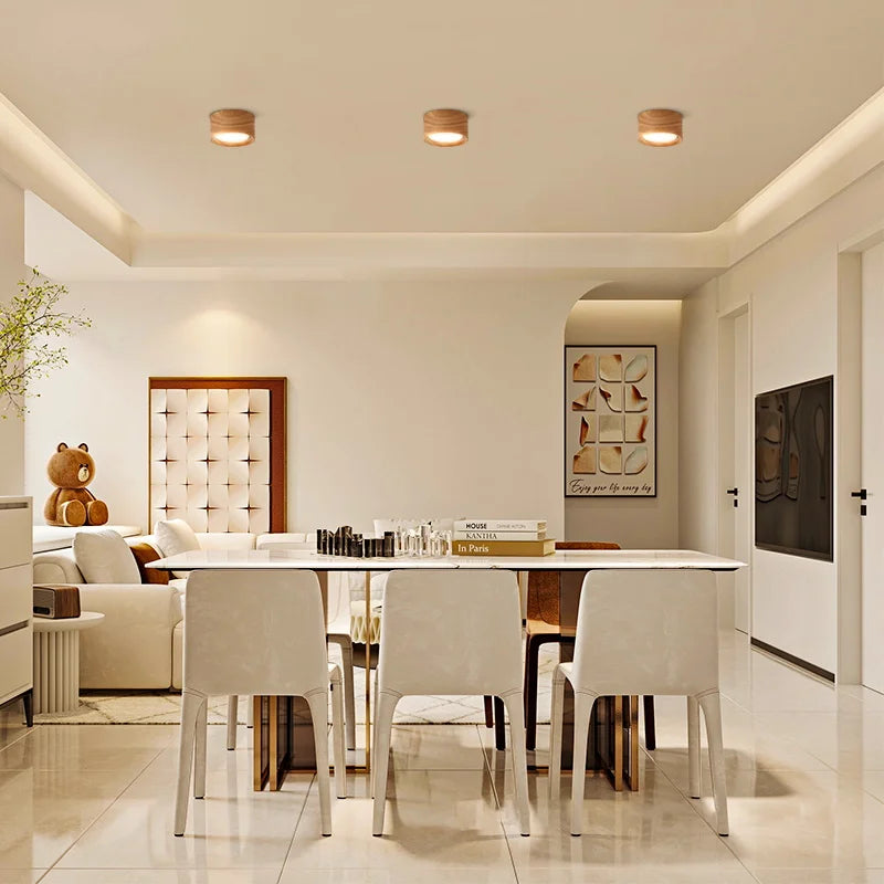 Modern Flush Mount Downlight