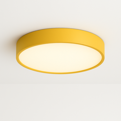 Ceiling Light Fixture - 
Fashinoza