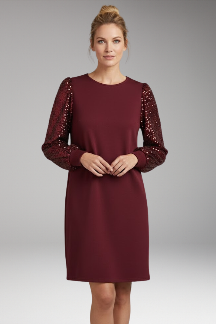 Women's Casual Dress Glitter Sleeves Relaxed Fit