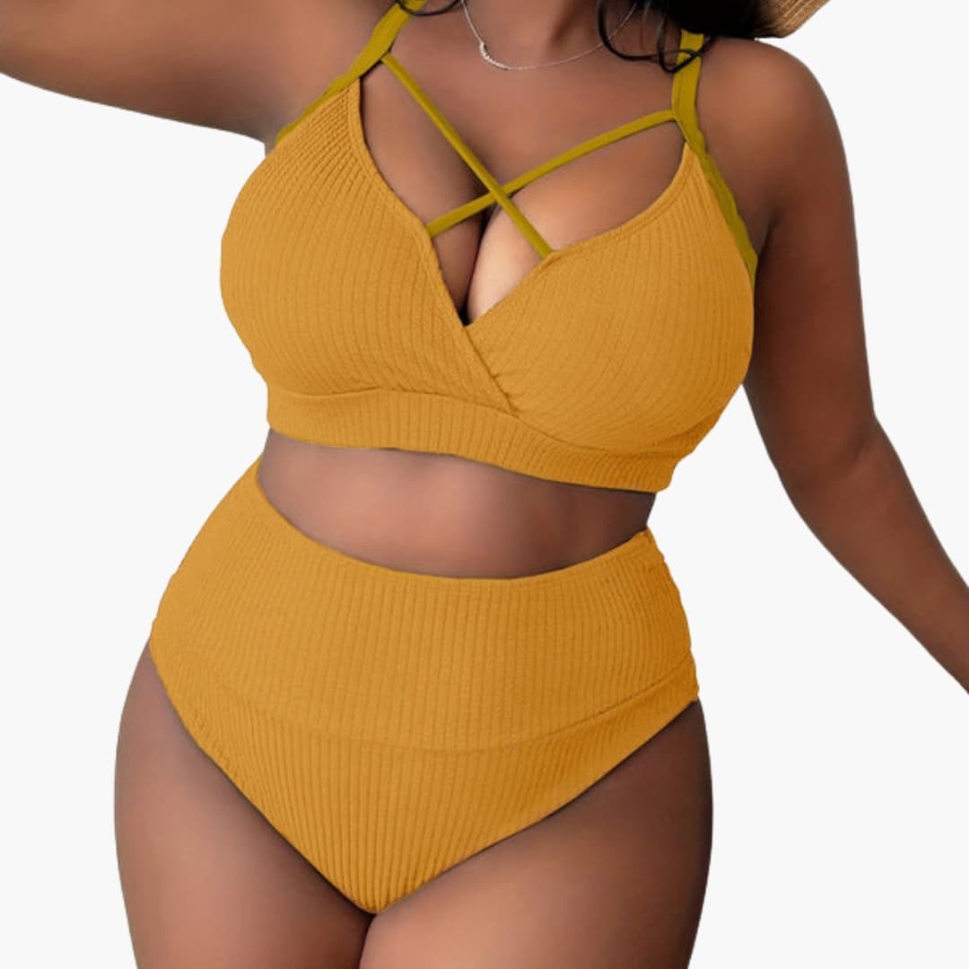 Women's Plus Size High-Waisted Bikini Set
