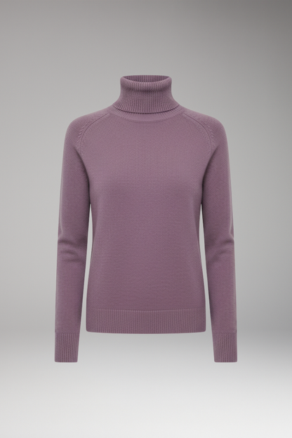 Women's Turtleneck Sweater Long Sleeves - 
Fashinoza