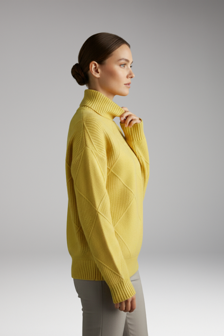 Women's Turtleneck Sweater Textured Knit