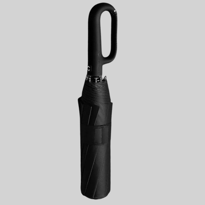 Auto Lock Umbrella Waterproof Windproof Compact