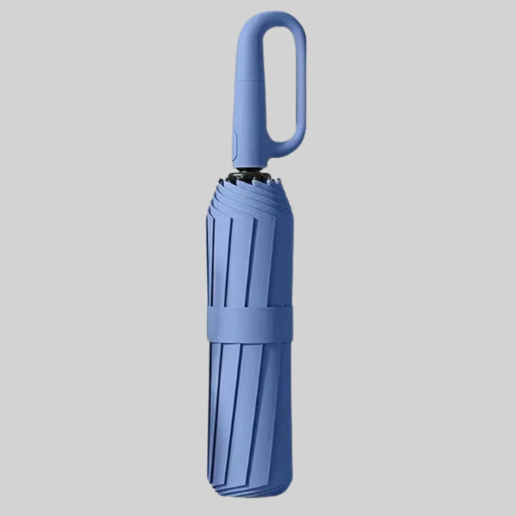 Auto Lock Umbrella Waterproof Windproof Compact