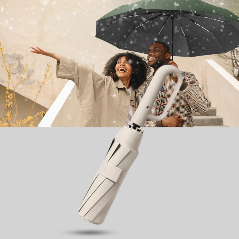 Auto Lock Umbrella Waterproof Windproof Compact
