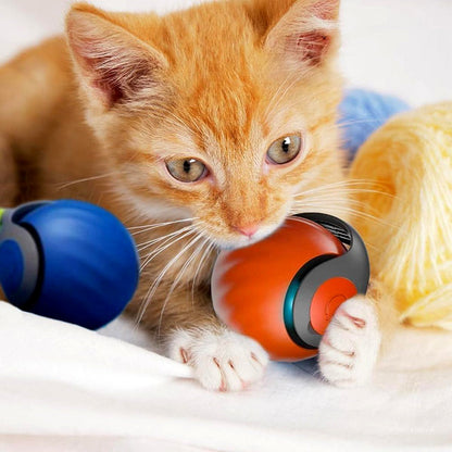 Interactive Cat Rolling Ball Toy