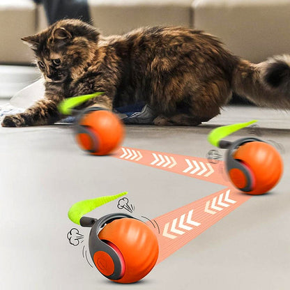 Interactive Cat Rolling Ball Toy