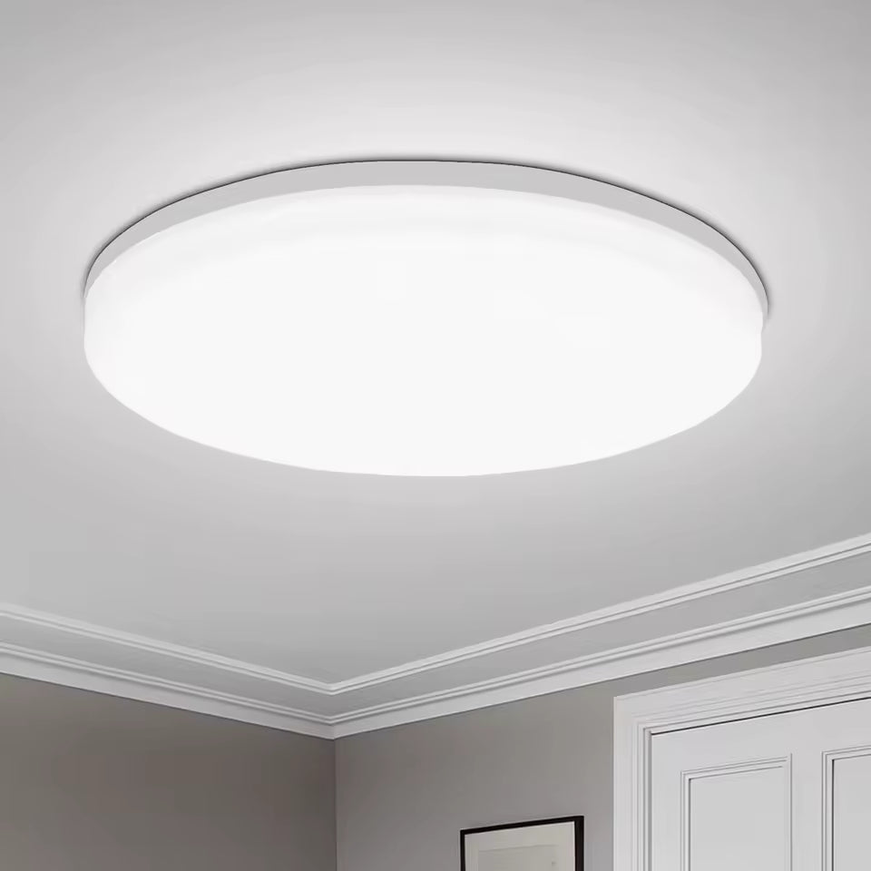 Modern Indoor Ceiling Light Fixture