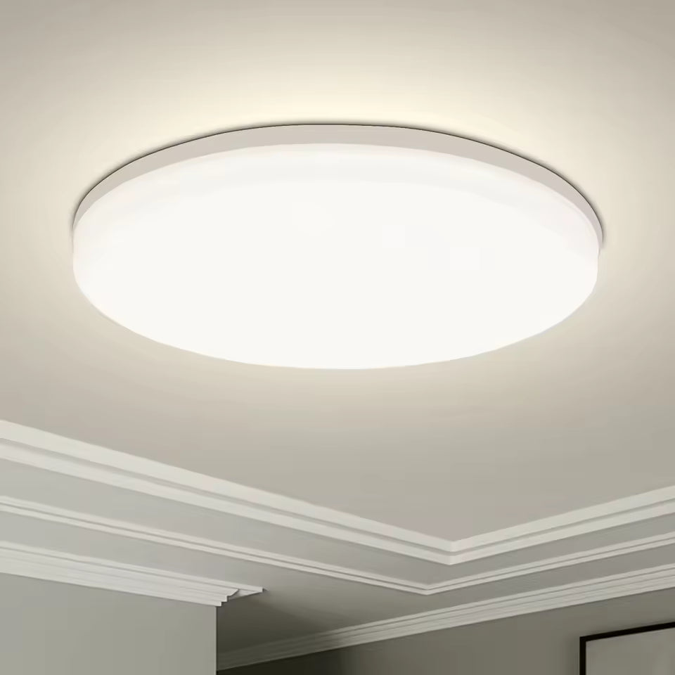Modern Indoor Ceiling Light Fixture